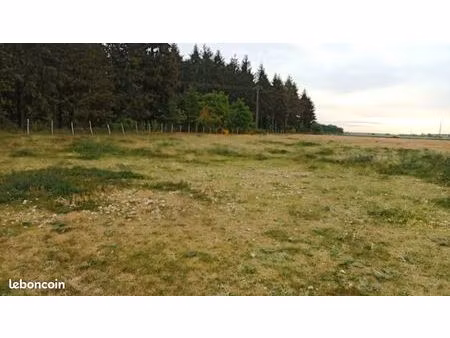 terrain agricole