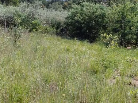 terrain 5600 m2- loisir ou agricole