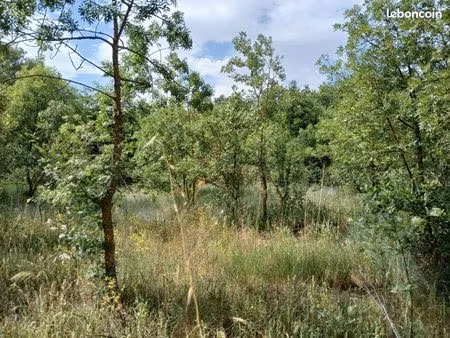 recherche terrain agricole