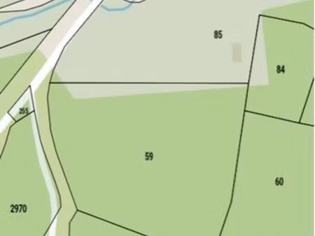 parcelle de bois usson en forez