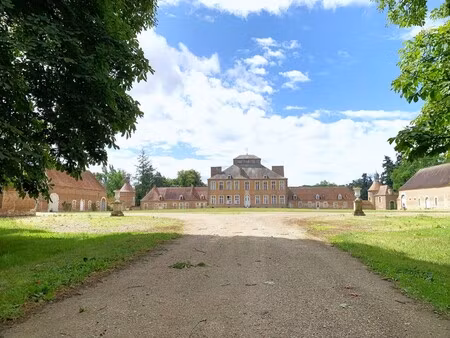château à vendre à lurcy-lévis