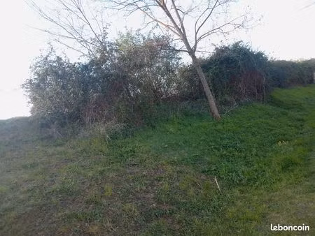 terrain / lot