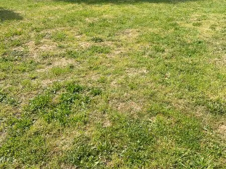 terrain constructible