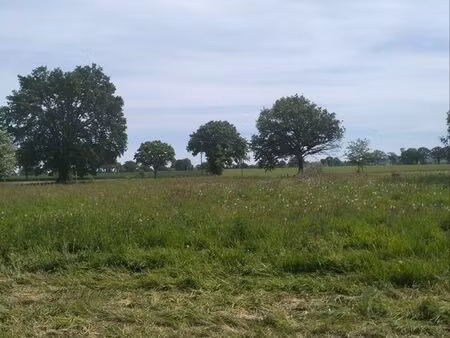 location parcelle 5000 m2