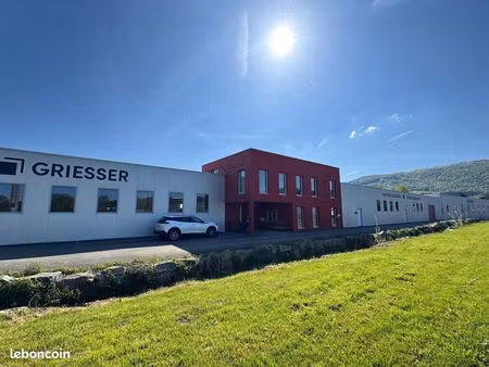 bâtiment 2290 m² wolschwiller