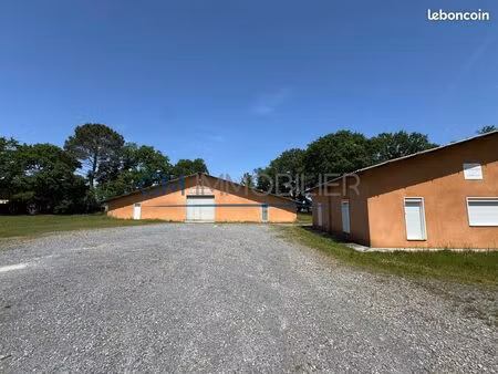 local 700 m² herm