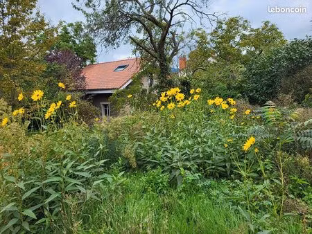 maison 6 pièces 145 m²