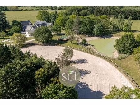maison de luxe à vendre à neung-sur-beuvron