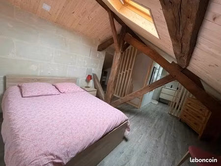 duplex t3 + 2 sdb centre saumur 73m² libre juillet