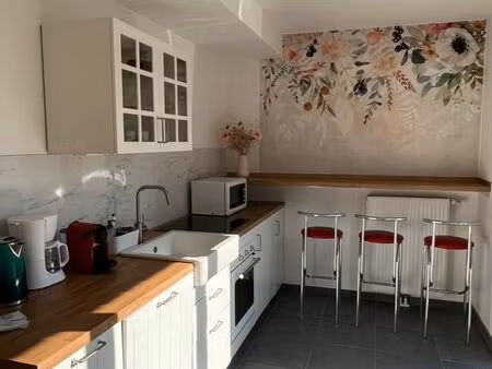 appartement meublé 2 pièces 46 m2 avec terrasse  jardin et garage