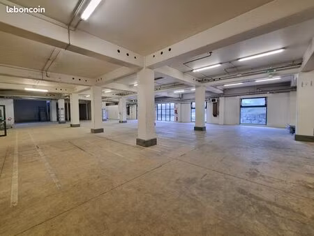 local professionnel pmr de 1210 m²