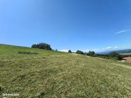 terrain 995 m² hery sur albi