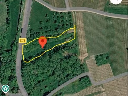 à vendre ou à louer – verger de 35 ares entre westhoffen et wasselonne