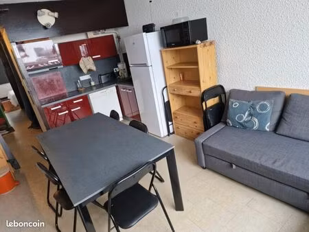 vends appartement pieds des pistes