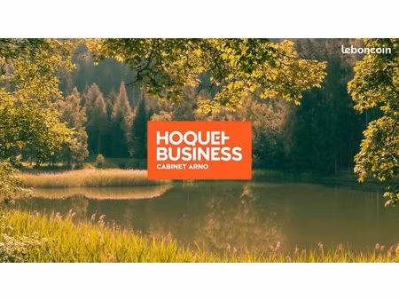 camping 32225 m² mont-dore