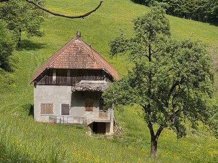 maison+terrain