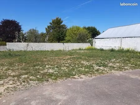 terrain constructible