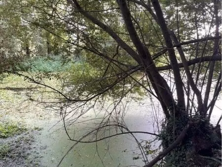 ? bois de 5 480 m² avec mare – environnement naturel préservé