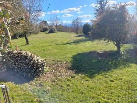 immobilier terrain