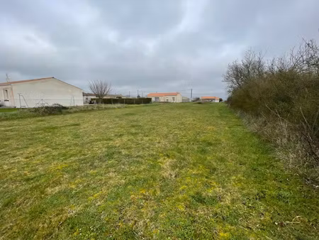 terrain 1445 m²
