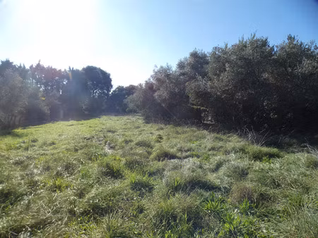 vente terrain à construire 1130 m² uzès (30700)