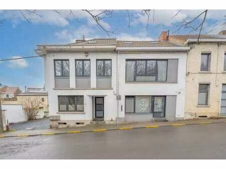 spacieux duplex 3 ch renove peb b avec terrasse et jardin