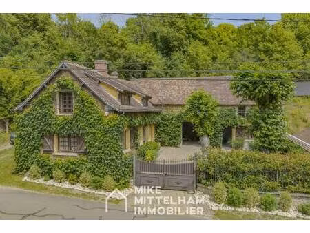 mike mittelham immobilier