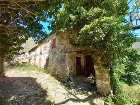 unique ! ancienne ferme à rénover sur 15ha de patures et boi