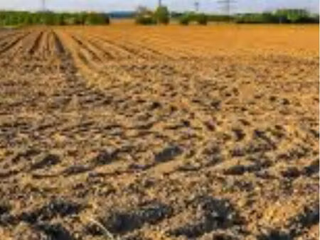 terrain agricole 