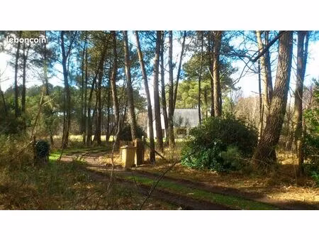maison 110m2 sur un hectare