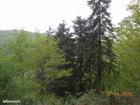 terrain agricole ou de loisirs