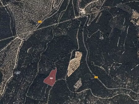 terrain de loisirs  forêt