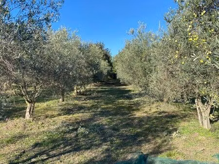 terrain agricole