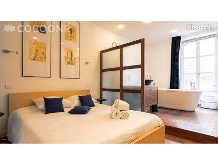 bel appartement atypique à nantes (quartier talensac)