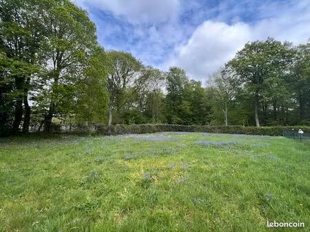 montigny terrain a vendre bordure de foret