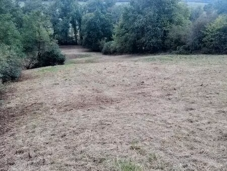 ? pré pour moutons - prairie - pâture – pâturage