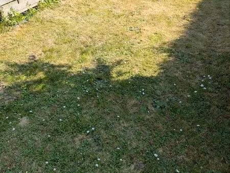 recherche terrain à bâtir · varengeville-sur-mer · projet maison 90 m² · direct acquéreur