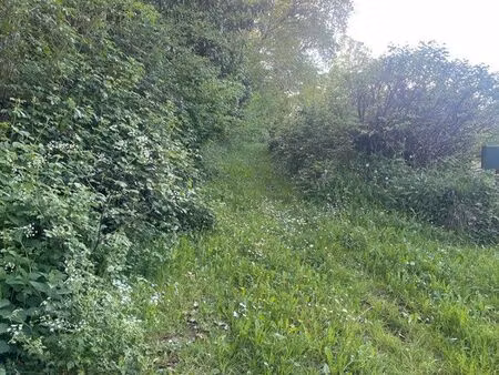 bois / terrain non constructible