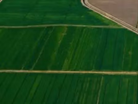 rech terrain agricole