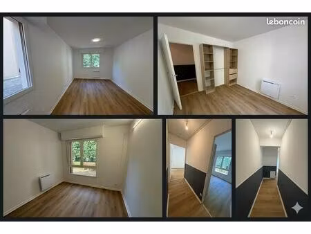 ? bel appartement rénové villeneuve d'ascq - croix