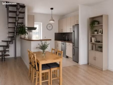 appartement duplex traversant - centre ville torcy