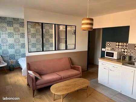 t1bis meuble et lumineux saint andré