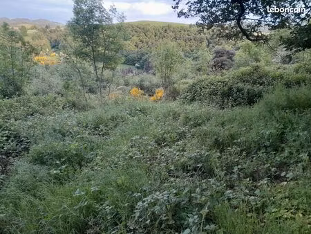 10 hectares pour pâturage chèvres