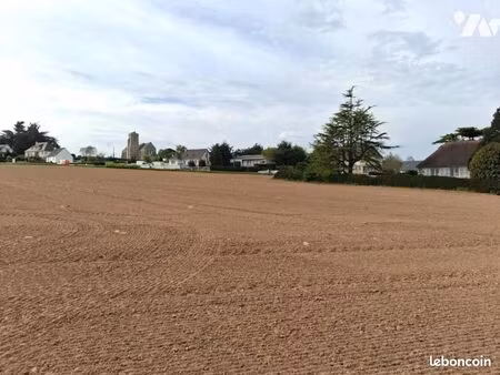 terrain 5539 m² quettehou