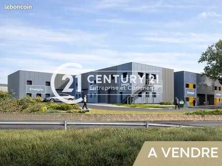 local 309 m²