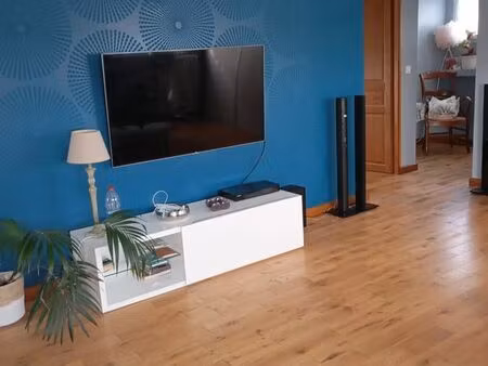 vends lot de 2 maisons  la 1ere des années 70 entièrement rénovée et la 2eme construite pa