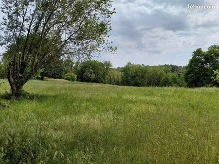 terrain pour chevaux a louer