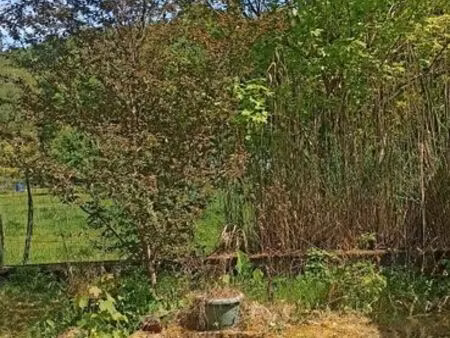 terrain de loisir