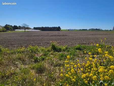 terrain constructible proche centre-ville non viabilisé