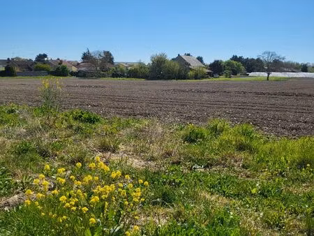 terrain constructible proche centre-ville non viabilisé